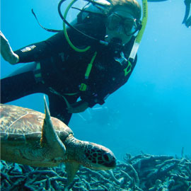 Scuba diving with a sea turtle